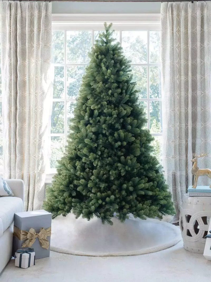 12ft royal fir unlit