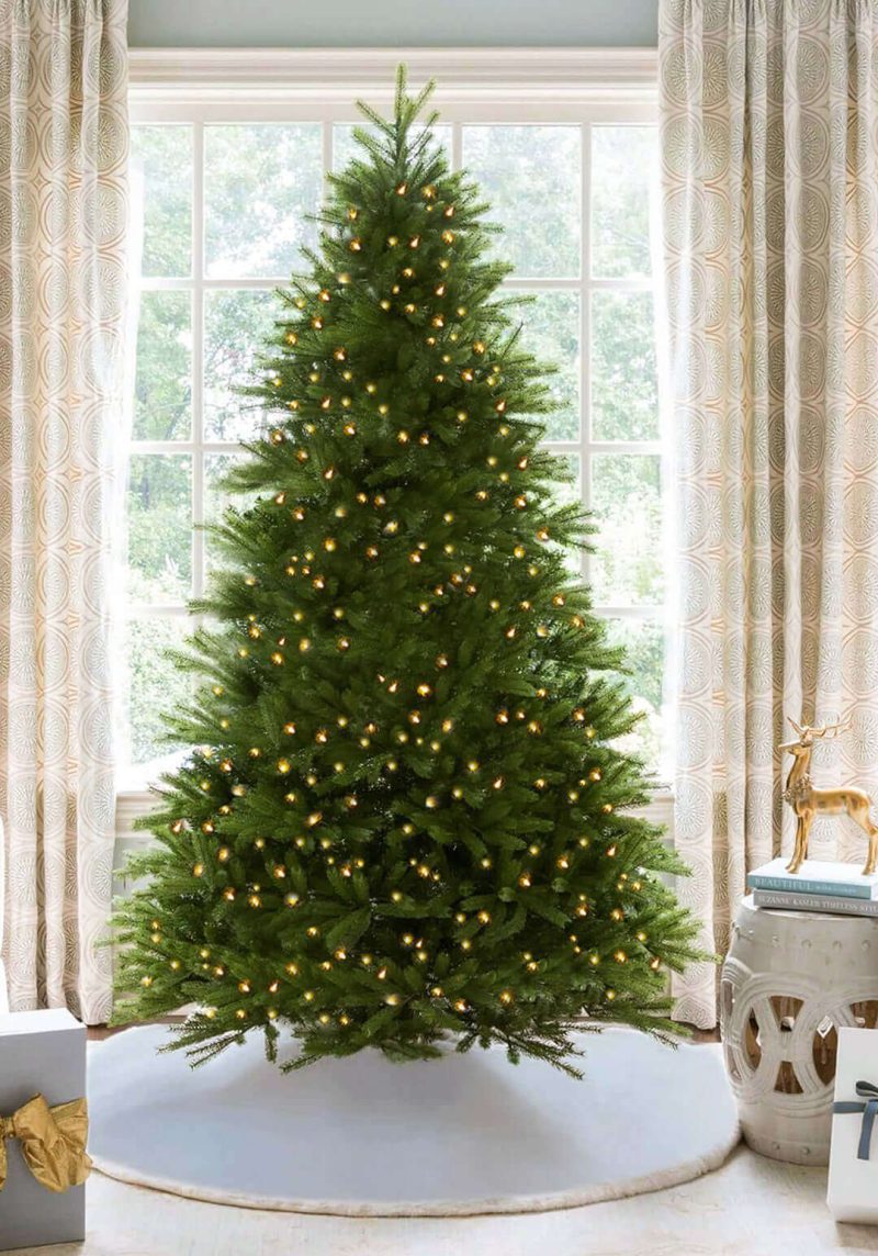 King Fraser Fir Full v2