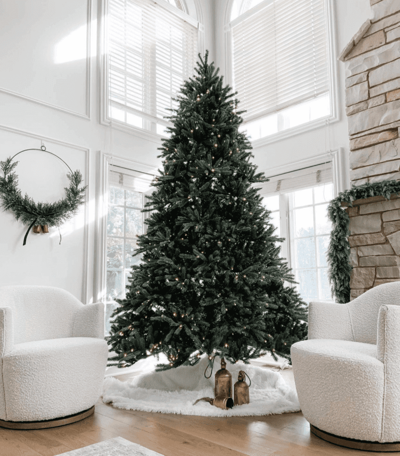 King Fraser Fir04