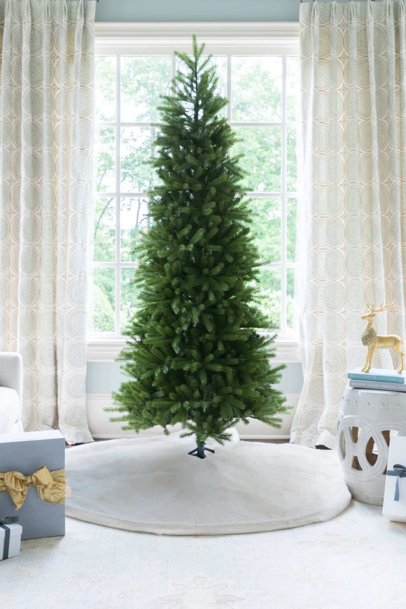 king fraser fir