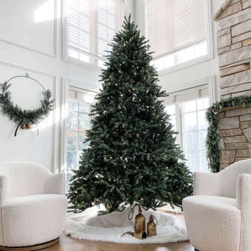 king fraser fir king of christmas 12d81c95 5464 4e9f a973 c62471349c52