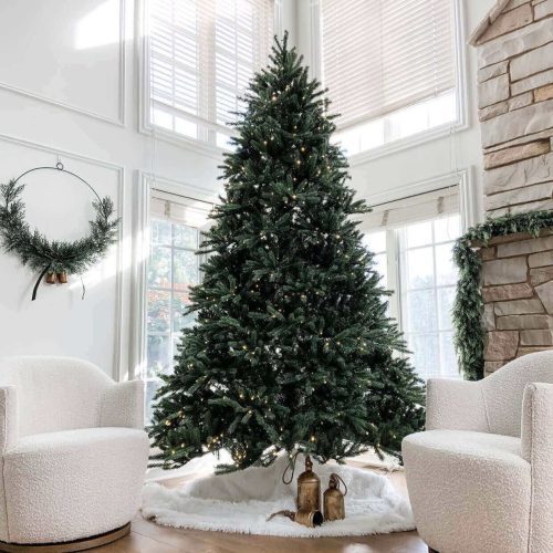 king fraser fir king of christmas 4c27a76c 19f2 430d 8f07 58841100d2d1