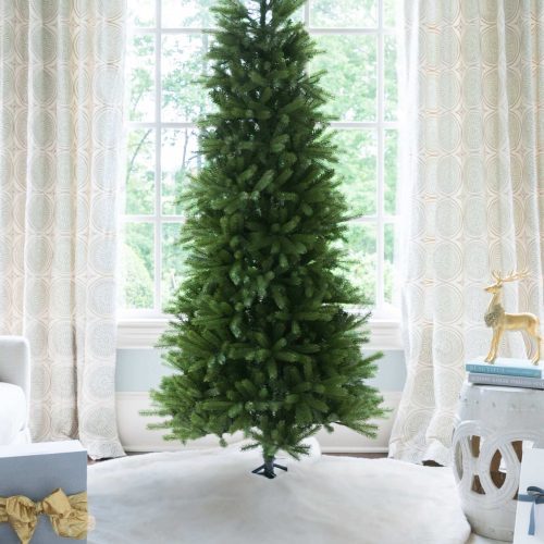 king fraser fir 4989c23b 36a6 459c 9a7f 8d675e85b572