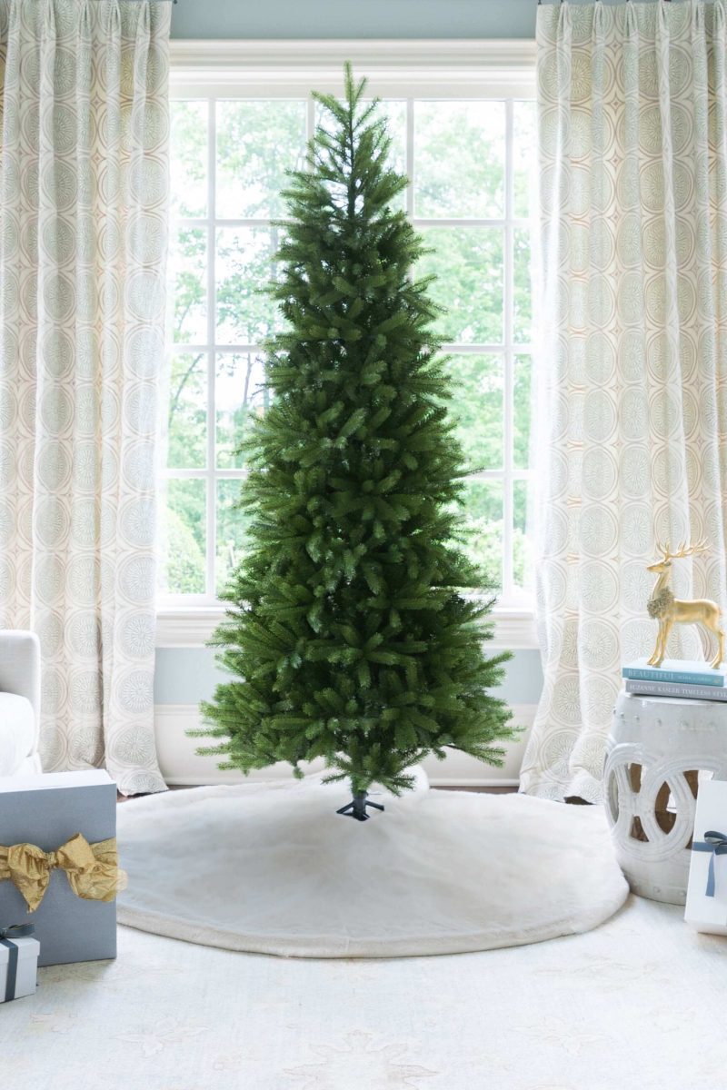 king fraser fir 4989c23b 36a6 459c 9a7f 8d675e85b572